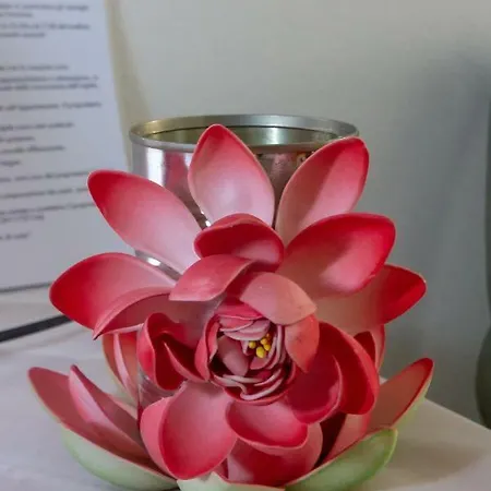 Sapori E Profumi Di Casa Dom wakacyjny Quartu SantʼElena